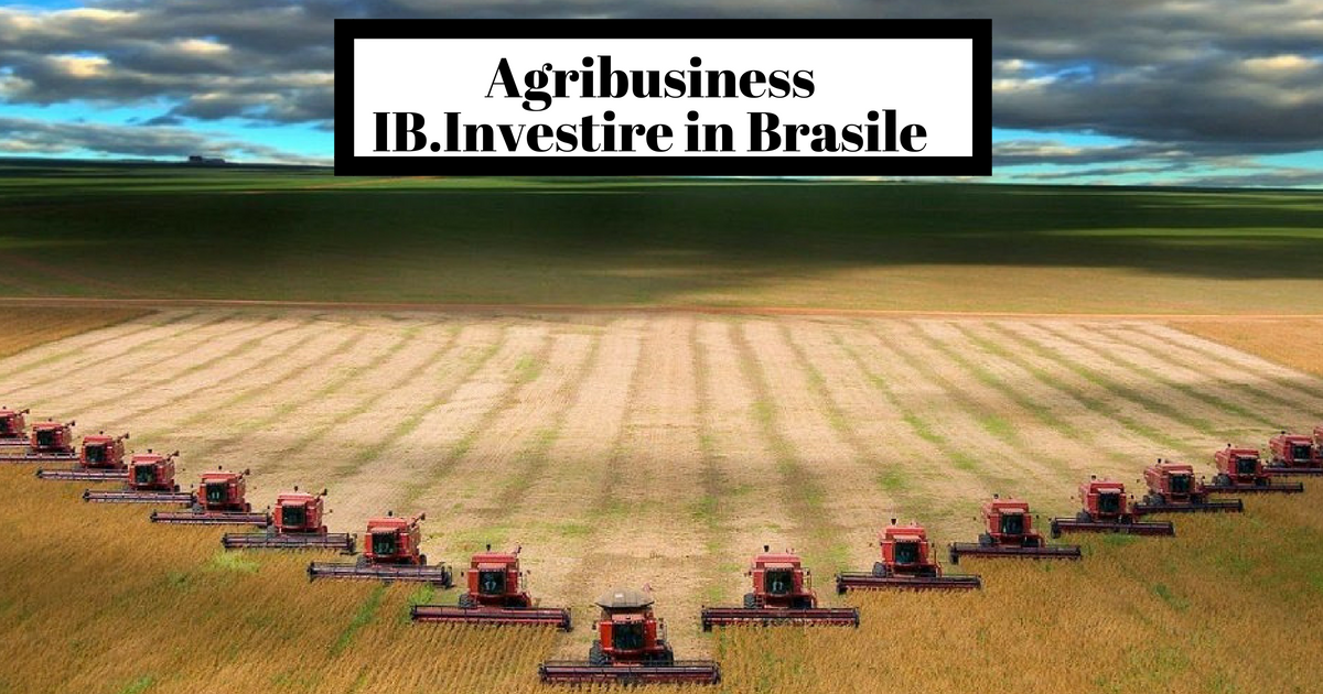 Agribusiness Brasile: Abiove Prevede Aumento Produzione