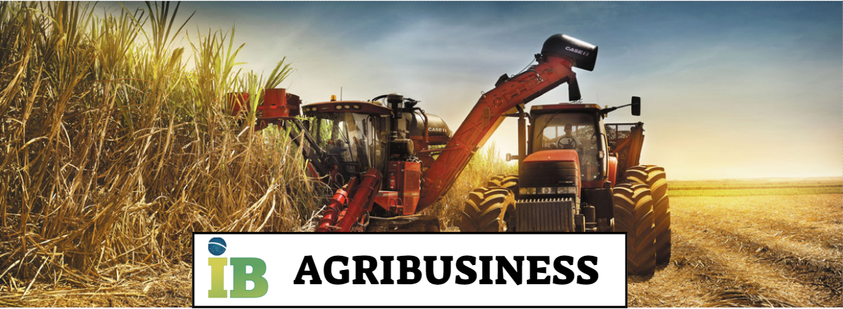 Agribusiness - IB.Investire in Brasile