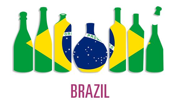 Investire in Brasile – Progetto Vino: Risultati 2017 e Prospettive 2018/19