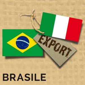 Export brasile - IB Investire in Brasile