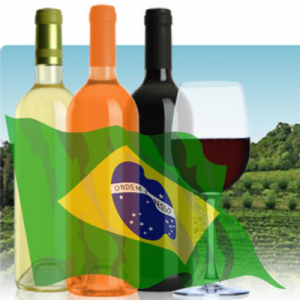 Export Vino – Opportunità di Business in Brasile