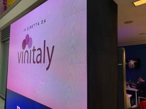 Investire in Brasile - Italian Vinhos - Vinitaly 2019