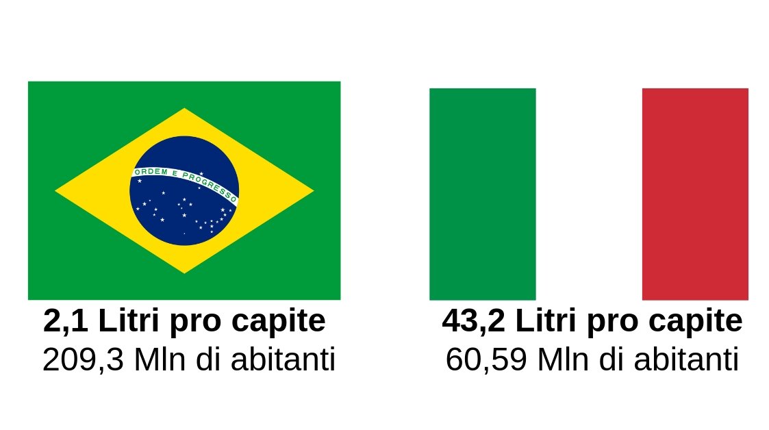 Export Vino: perché puntare sul Mercato brasiliano? Investire in Brasile